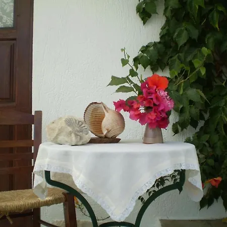 Anastasia's Guest house *