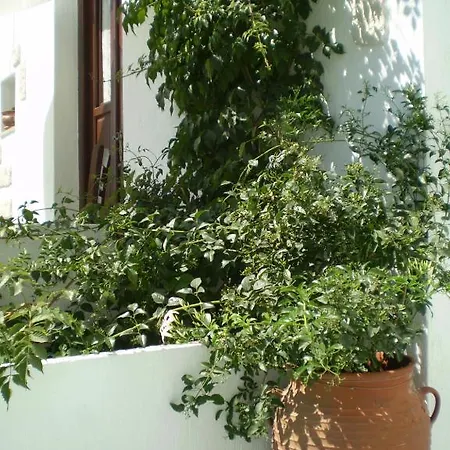 阿纳斯塔西娅旅馆 招待所 *